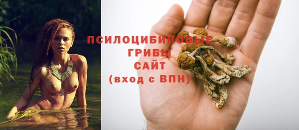 спиды Каменск-Шахтинский
