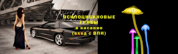 таблы Каменка