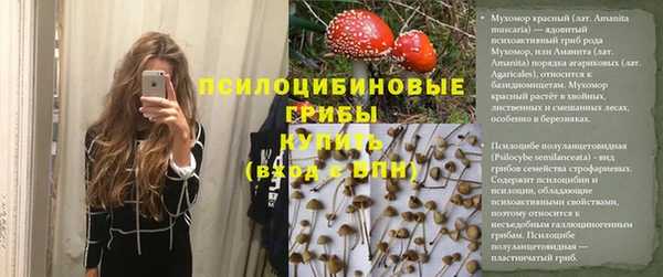 таблы Каменка