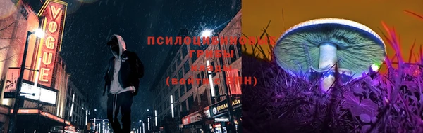 спиды Каменск-Шахтинский