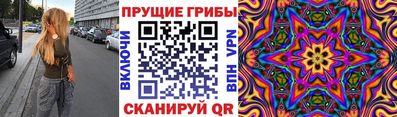 Галлюциногенные грибы ЛСД  Купить где  Кумертау 